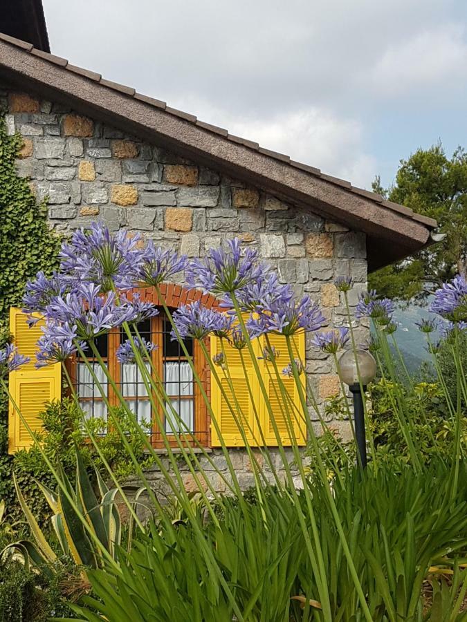 Villa Fior Di Lavanda Cisano sul Neva Buitenkant foto
