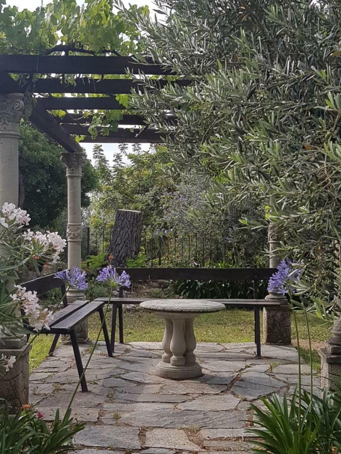 Villa Fior Di Lavanda Cisano sul Neva Buitenkant foto