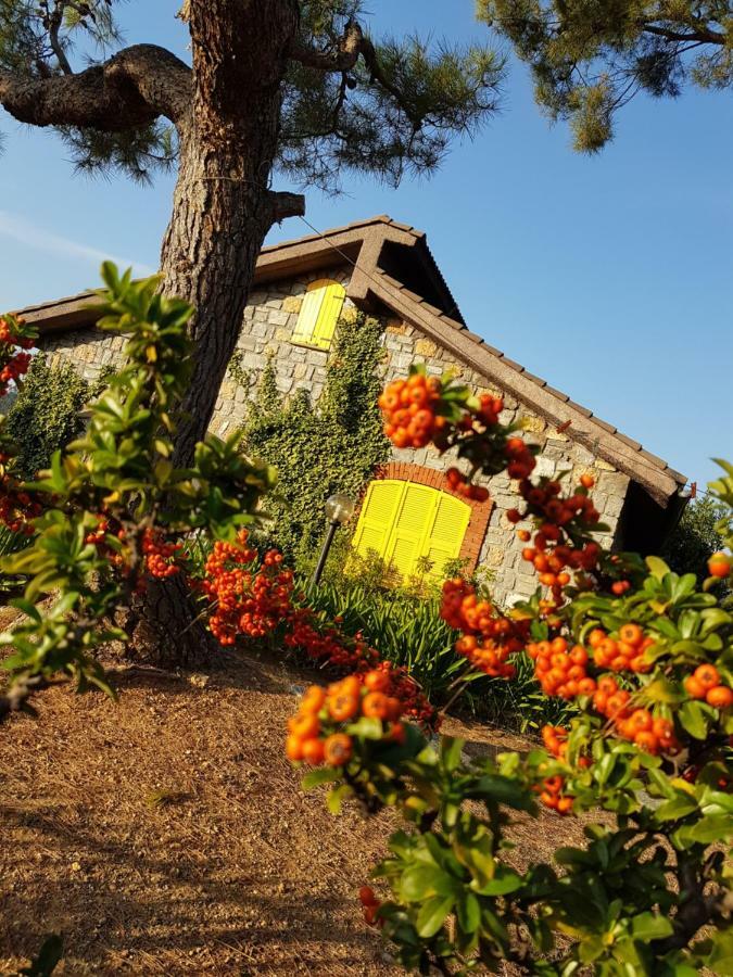 Villa Fior Di Lavanda Cisano sul Neva Buitenkant foto