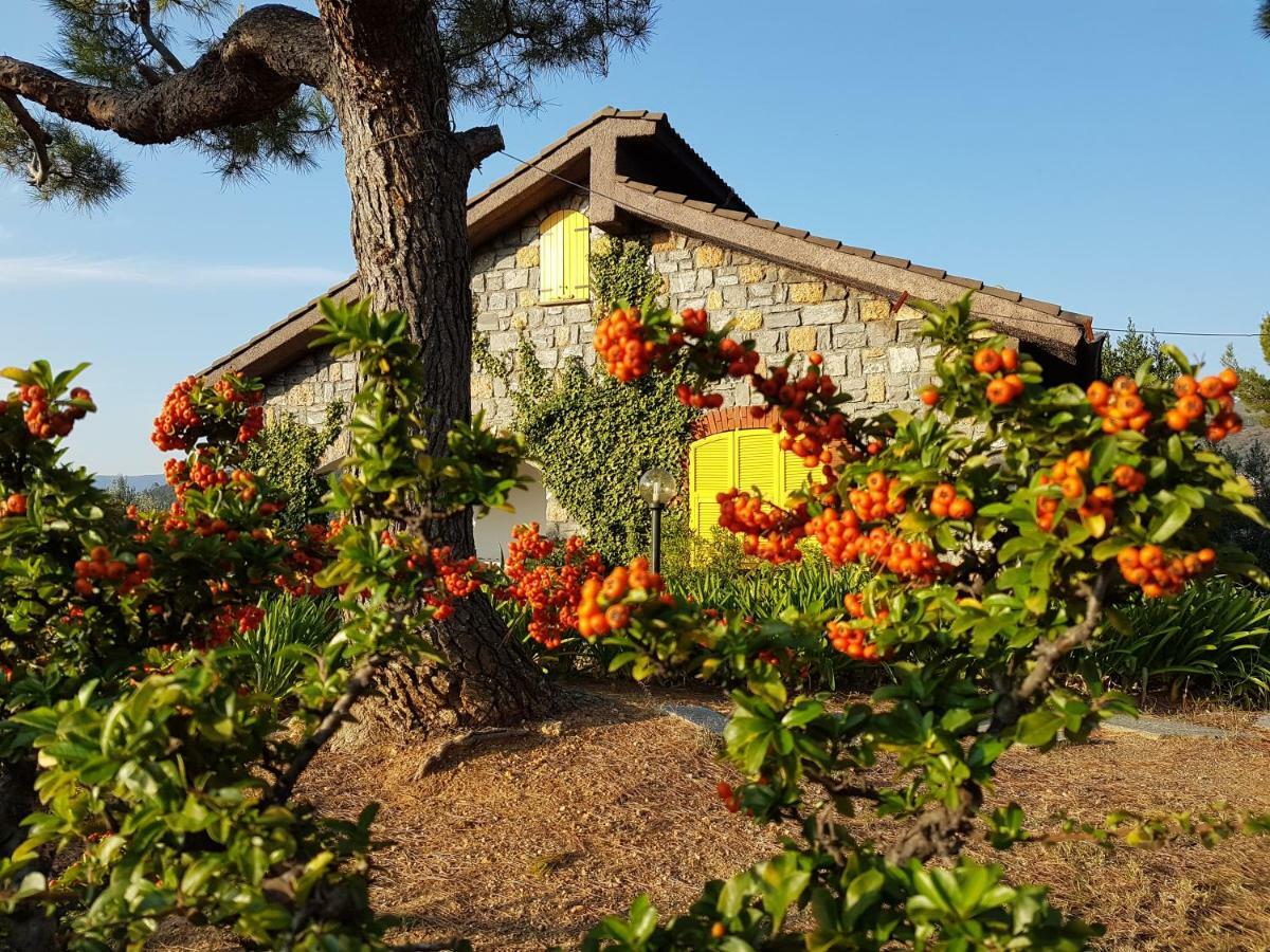 Villa Fior Di Lavanda Cisano sul Neva Buitenkant foto