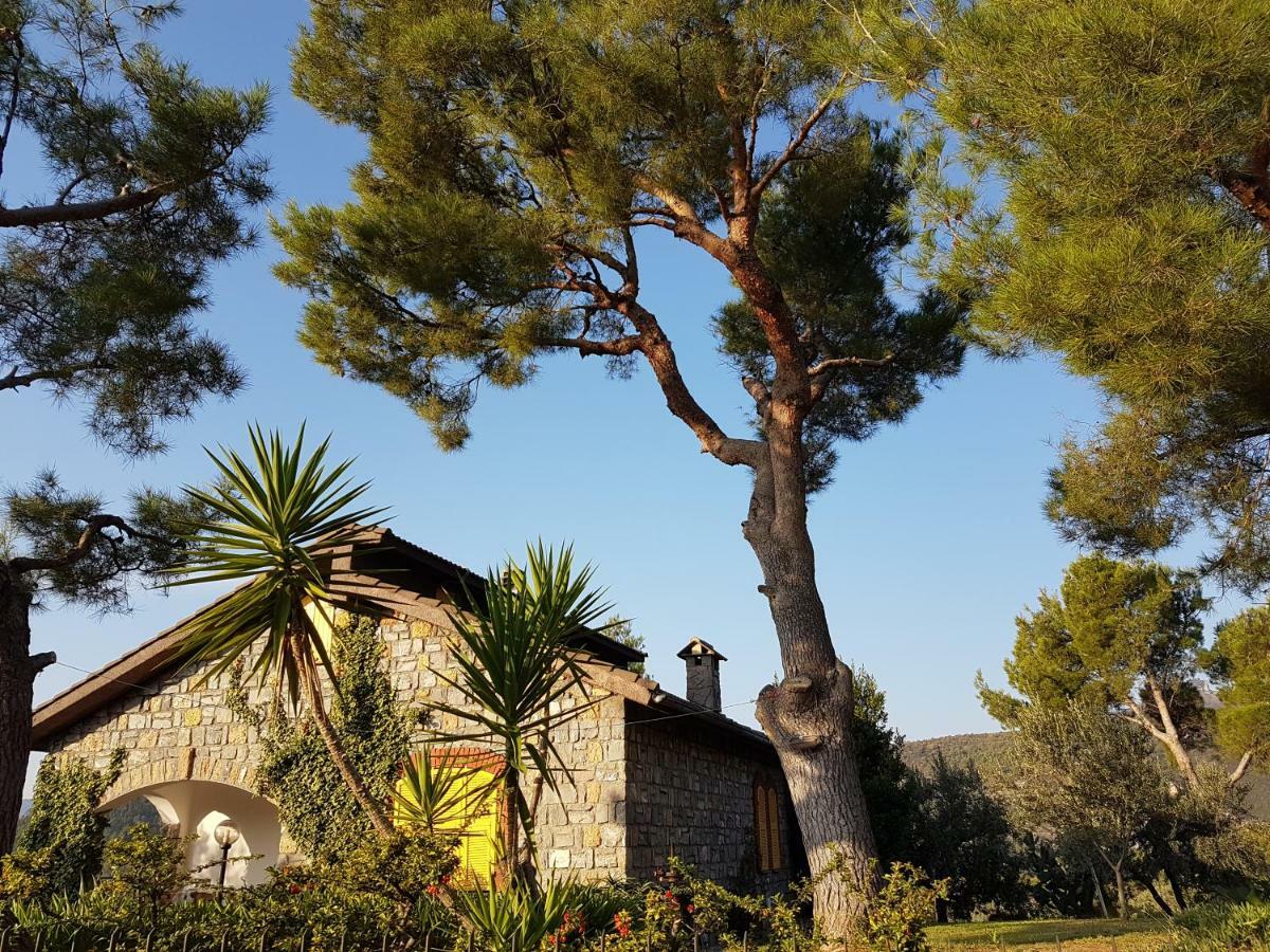 Villa Fior Di Lavanda Cisano sul Neva Buitenkant foto